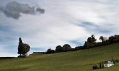 ~~~ Weinbauregion Markgräflerland ~~~