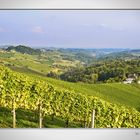 Weinbauregion Südsteiermark