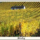 Weinberg # 2965_1_a