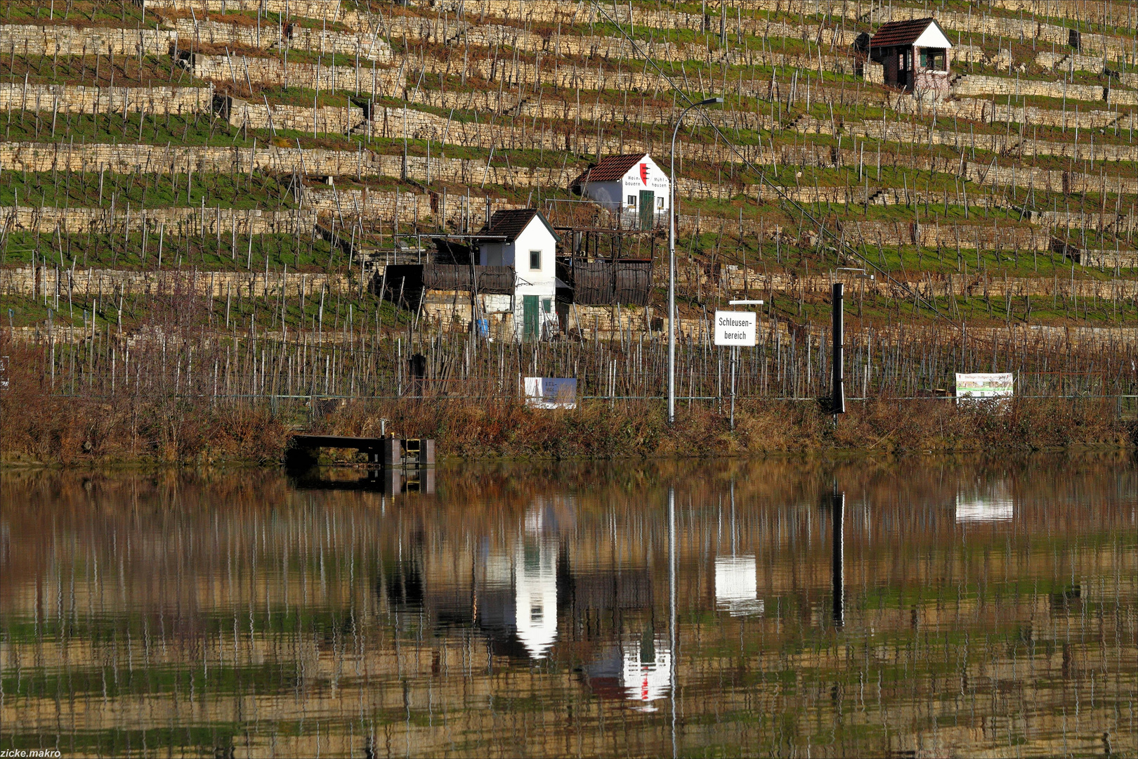 Weinberg am Neckar (BW)