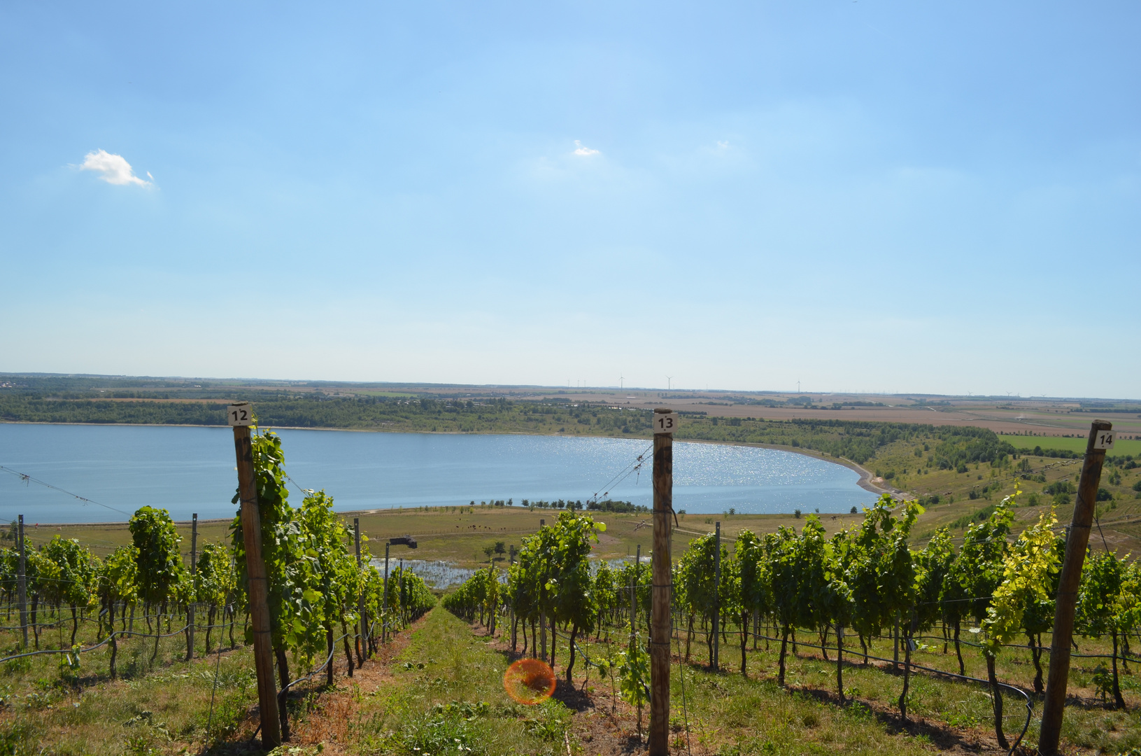 Weinberg am See