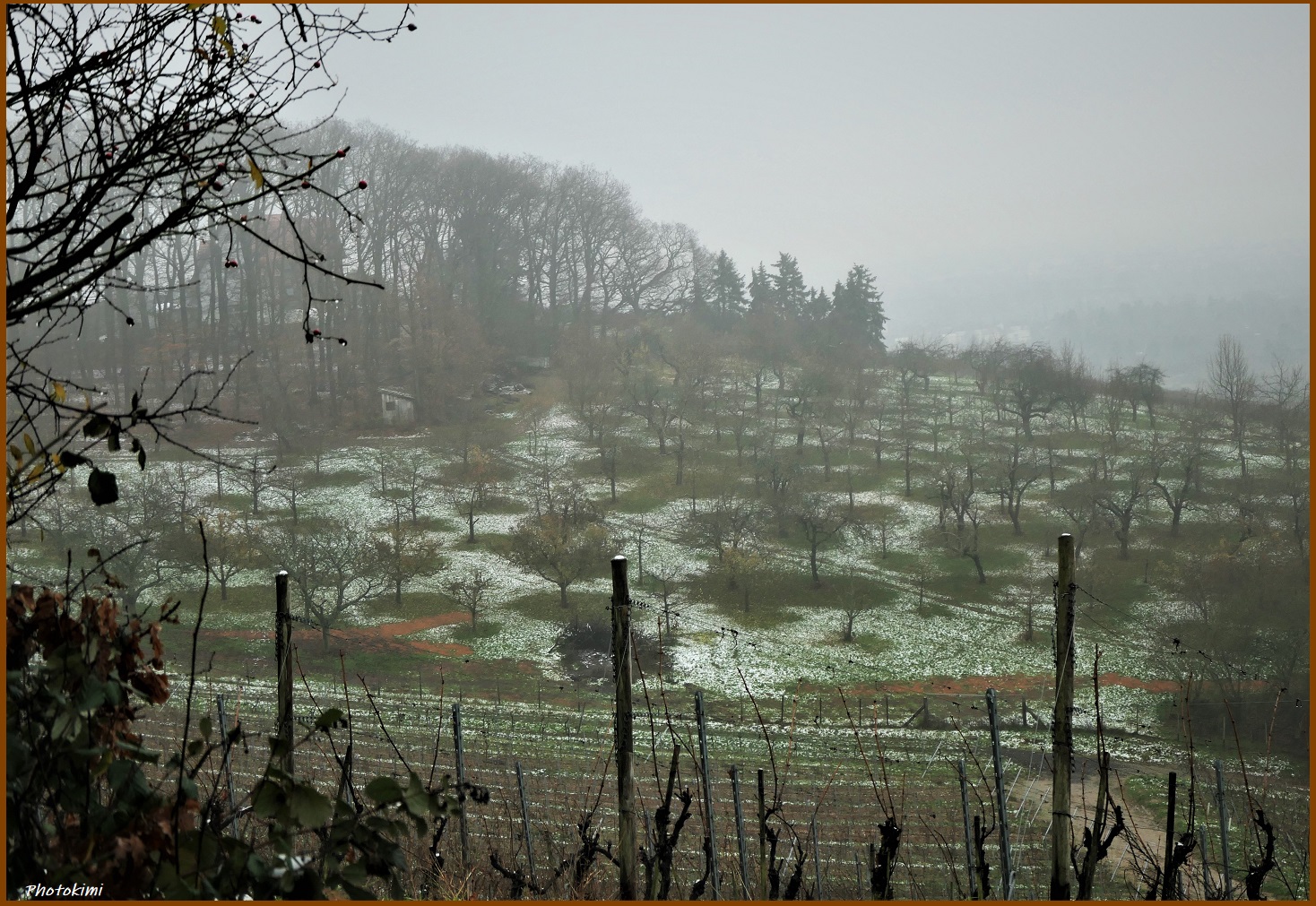 Weinberg (b) Foto & Bild landschaft, jahreszeiten, winter Bilder auf