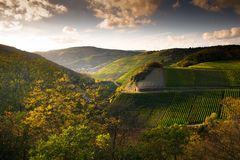 Weinberg bei Ahrweiler