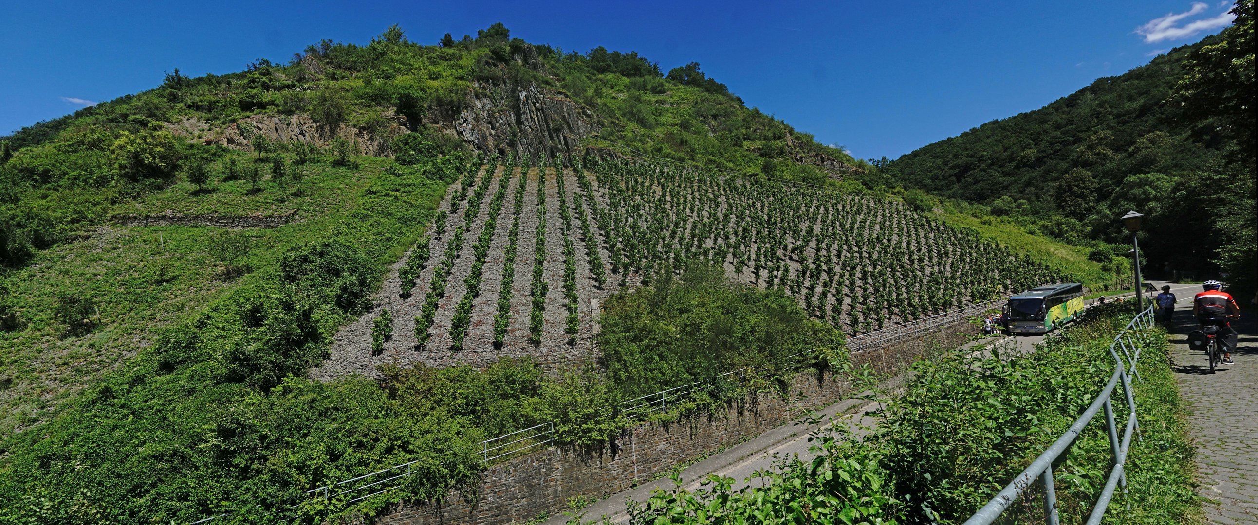 Weinberg bei Beilstein