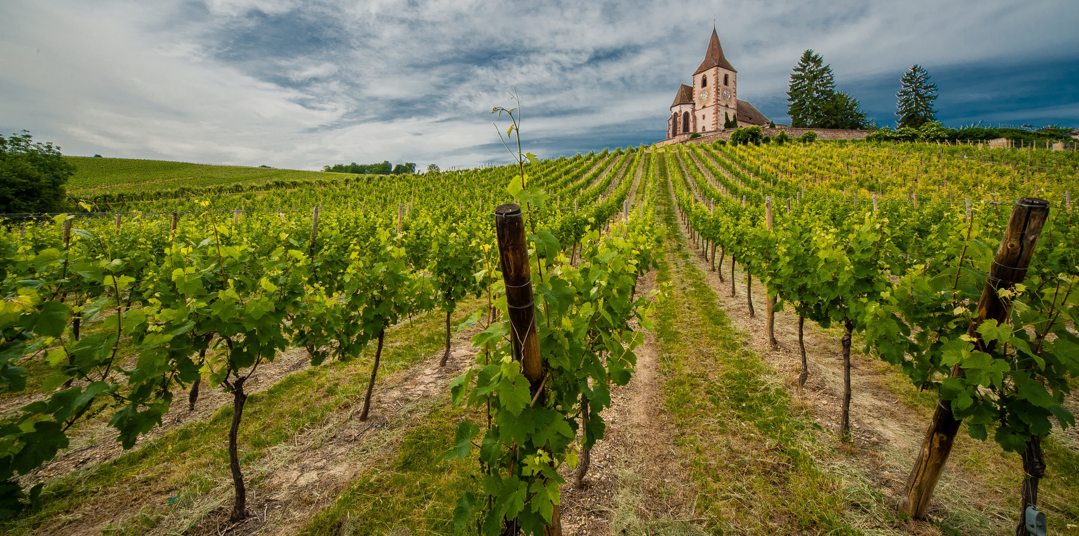 Weinberg Bei Hunawihr Im Elsass Foto Bild Natur Elsass Landschaft Bilder Auf Fotocommunity