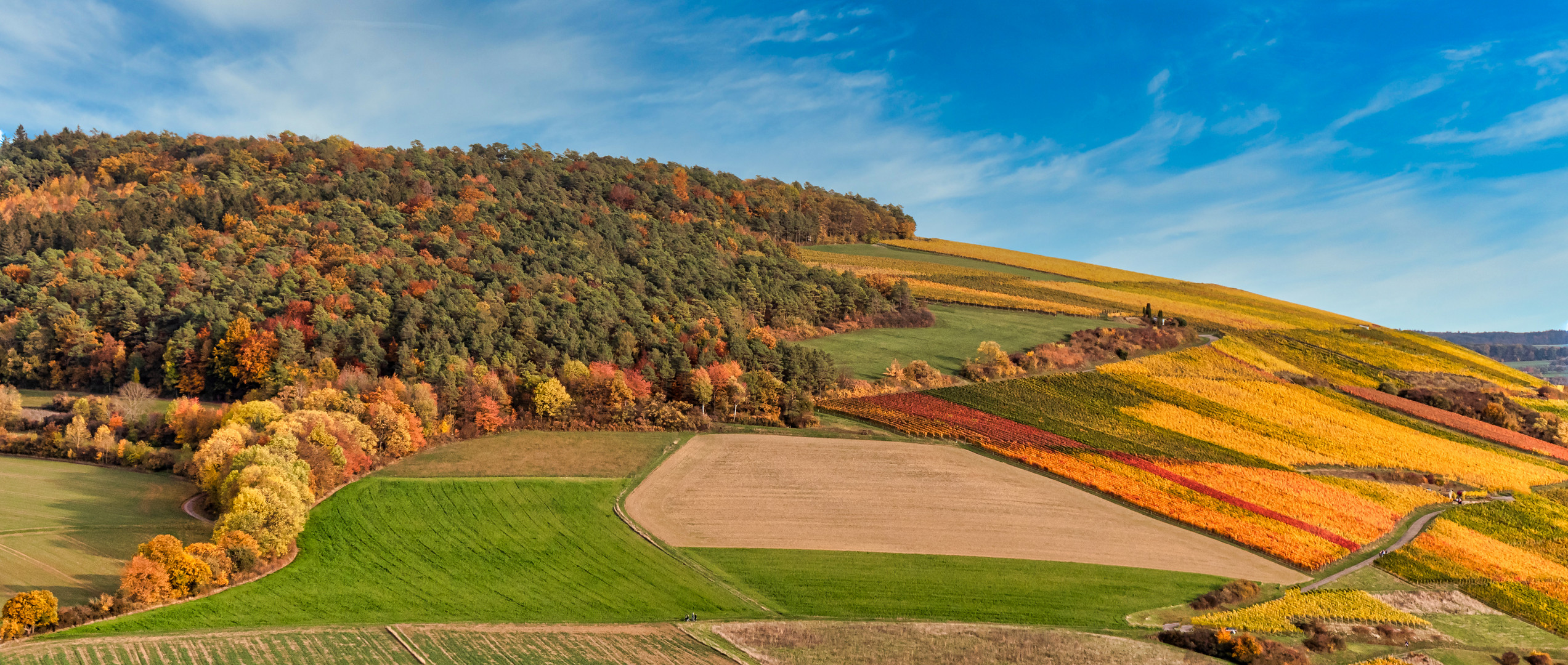 Weinberg  bei Markelsheim