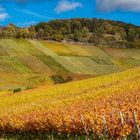 Weinberg bei Rotenberg