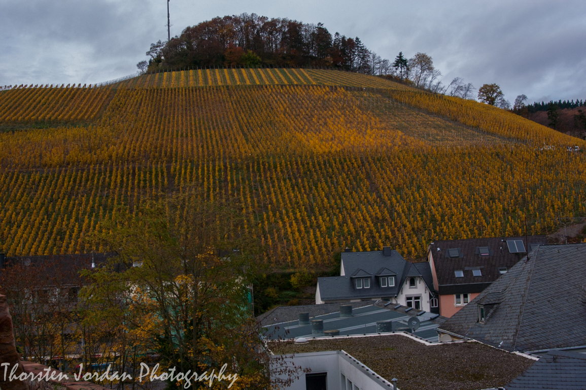 Weinberg bei Saarburg