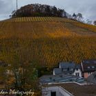 Weinberg bei Saarburg