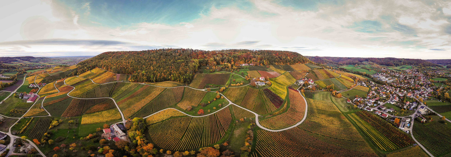 Weinberg bei Untersteinbach 