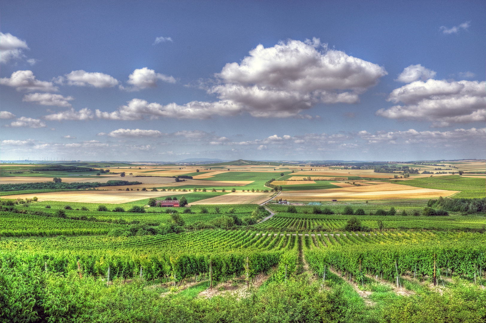 Weinberg bei Weinolsheim