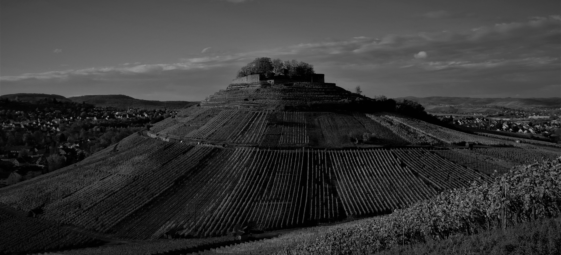 Weinberg / Burg Weibertreu