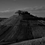 Weinberg / Burg Weibertreu