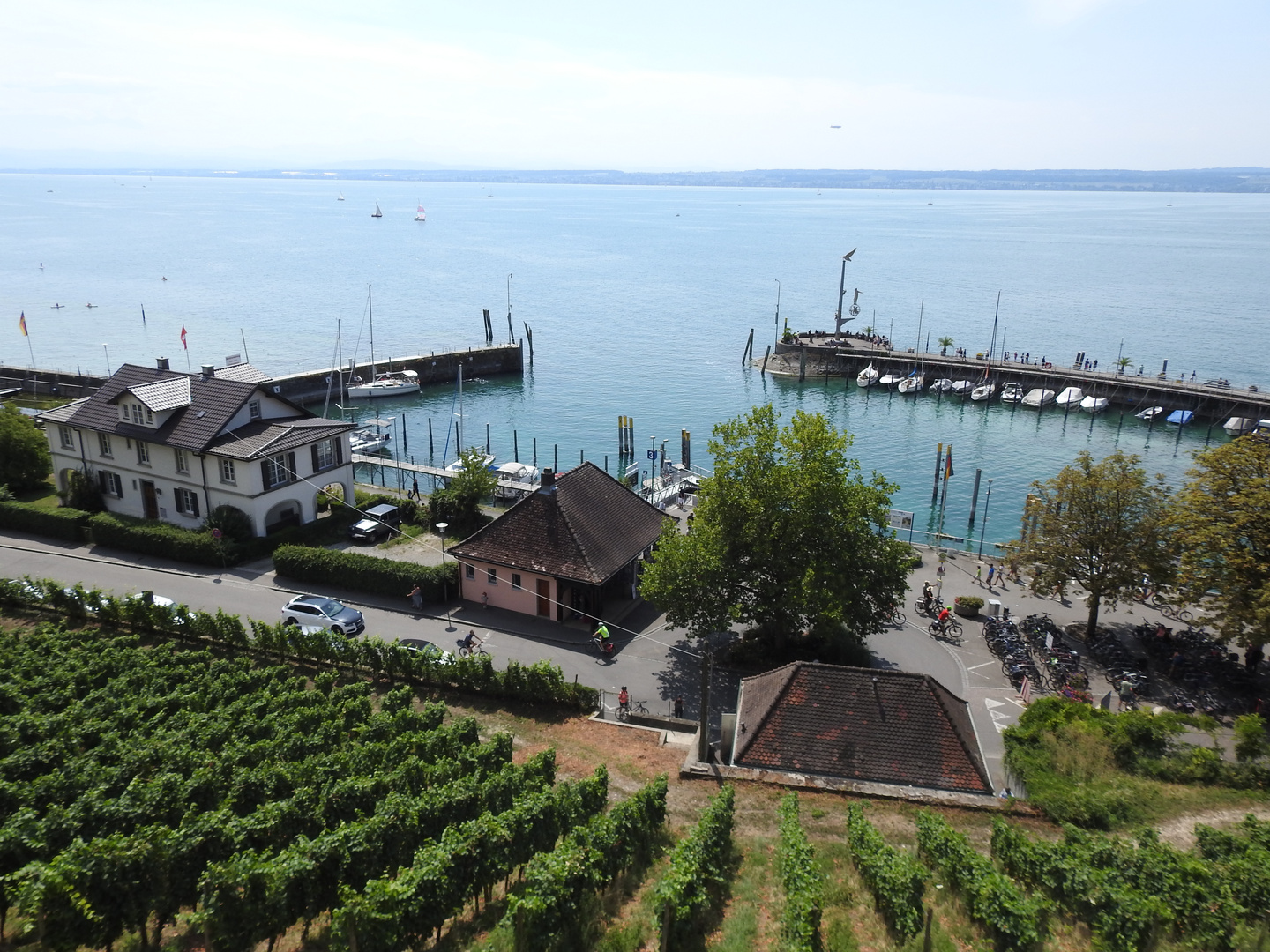 Weinberg Foto & Bild deutschland, europe, baden württemberg Bilder