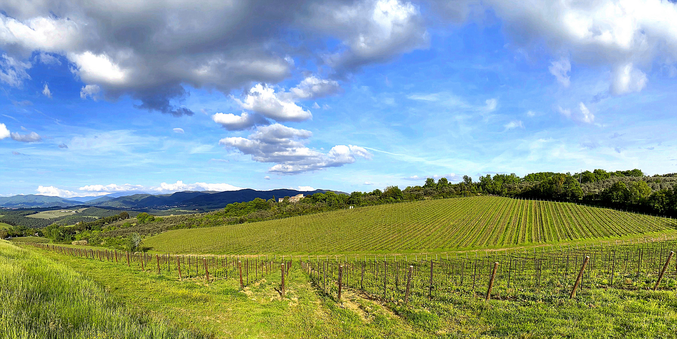 Weinberg