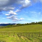 Weinberg