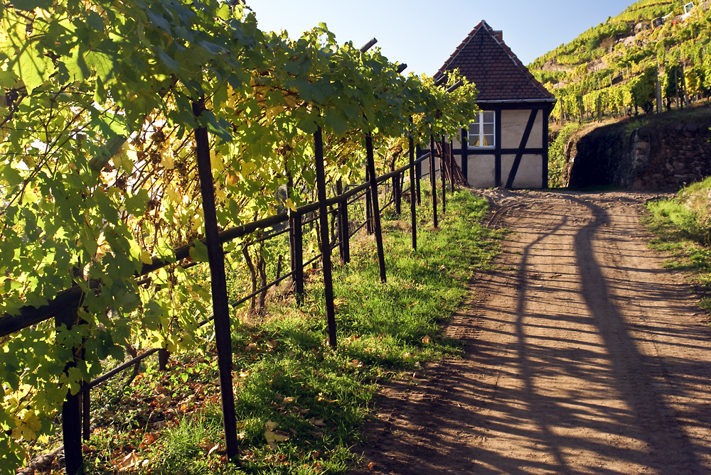 Weinberg-Häuschen