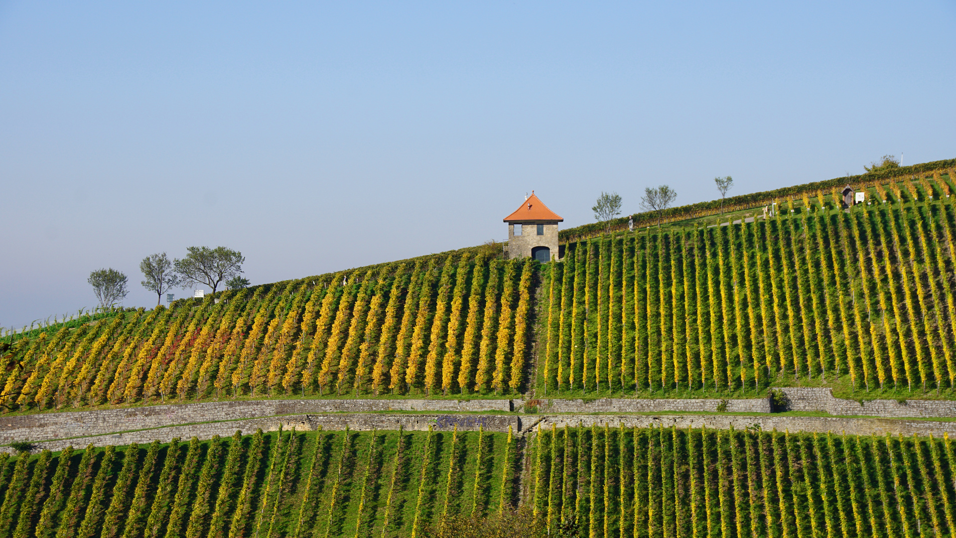 Weinberg Heppenheim