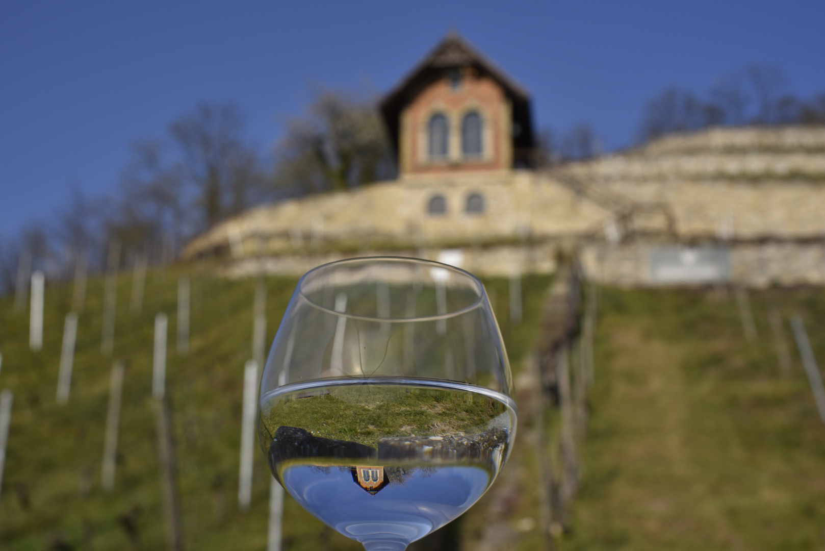 Weinberg im Glas