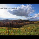 Weinberg im Herbst Südsteiermark