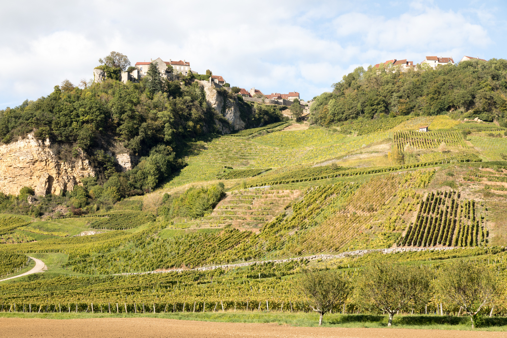 Weinberg im Jura