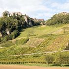 Weinberg im Jura