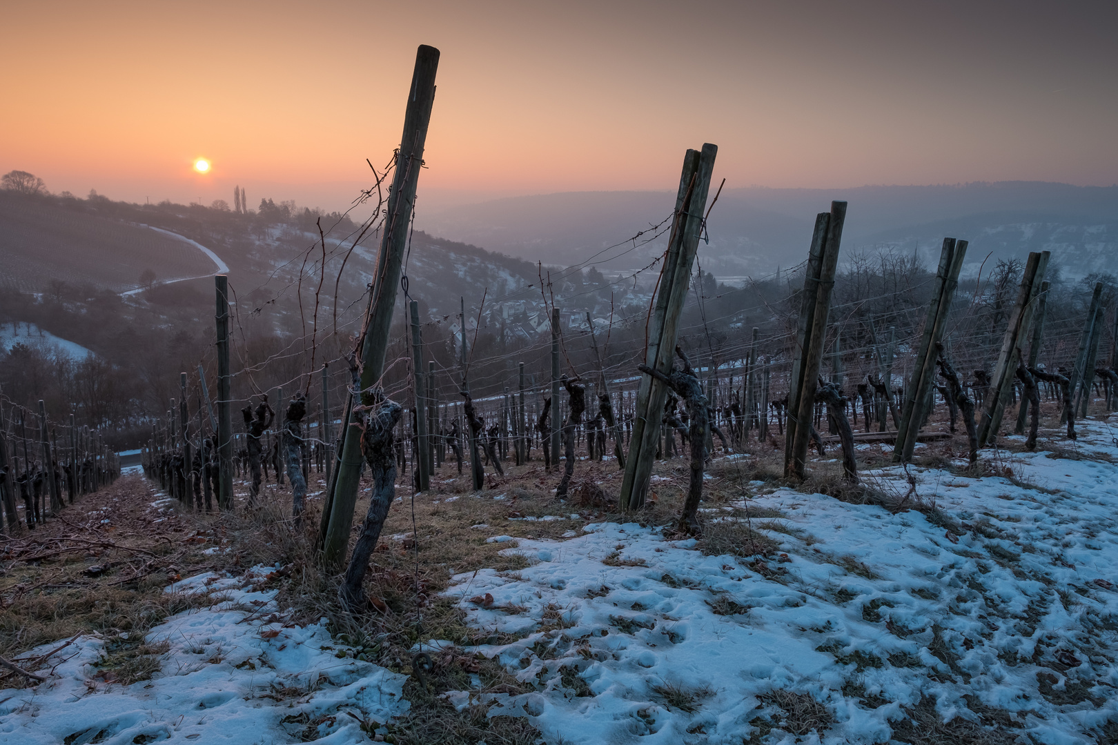 Weinberg im Winter mit Schnee