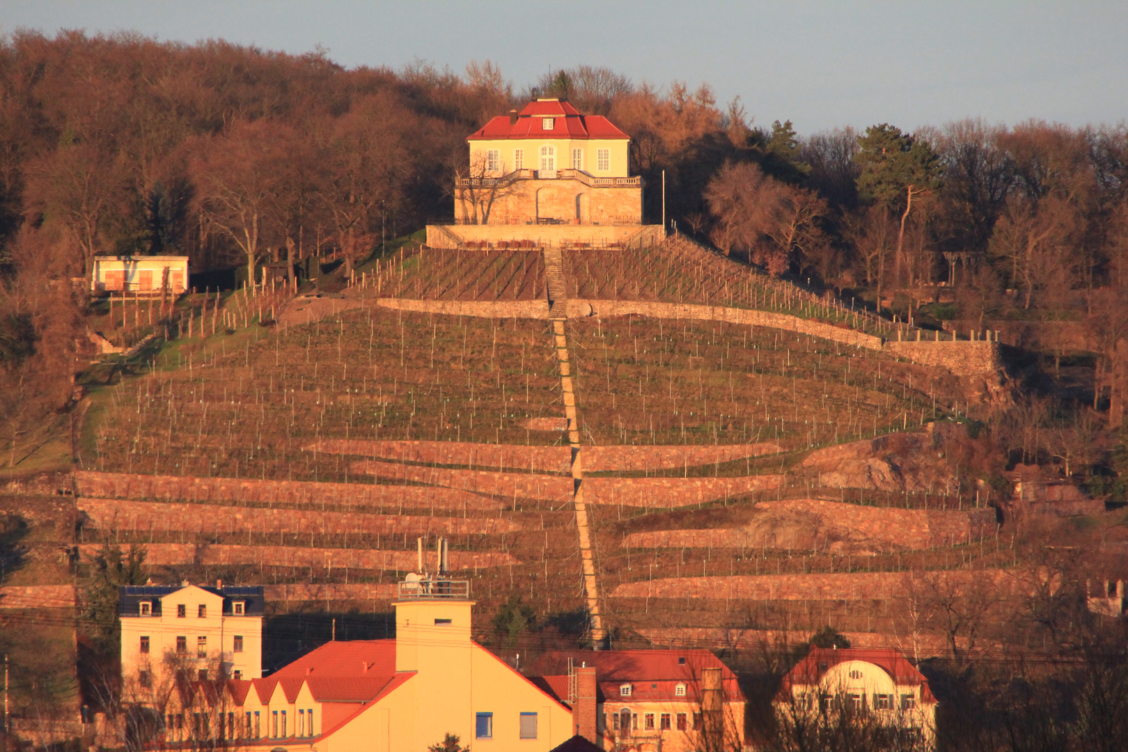 Weinberg im Winterschlaf