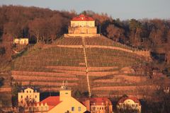 Weinberg im Winterschlaf