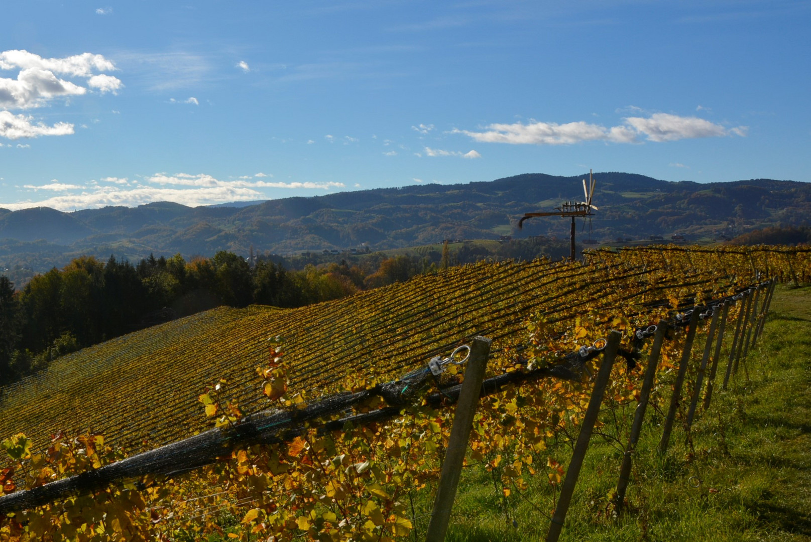 Weinberg in der Südsteiermark mit Klapotetz