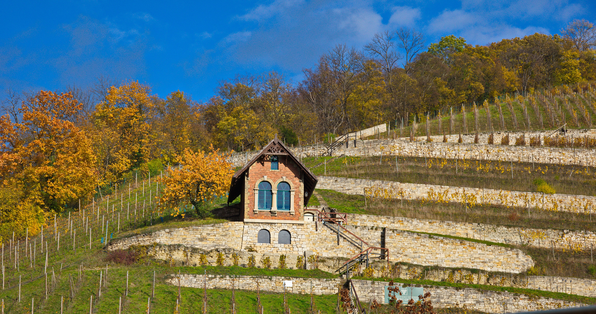 Weinberg in Freyburg/Unstrut - Burgenland