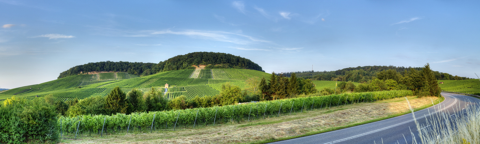 Weinberg in NachmittagsSonne 2