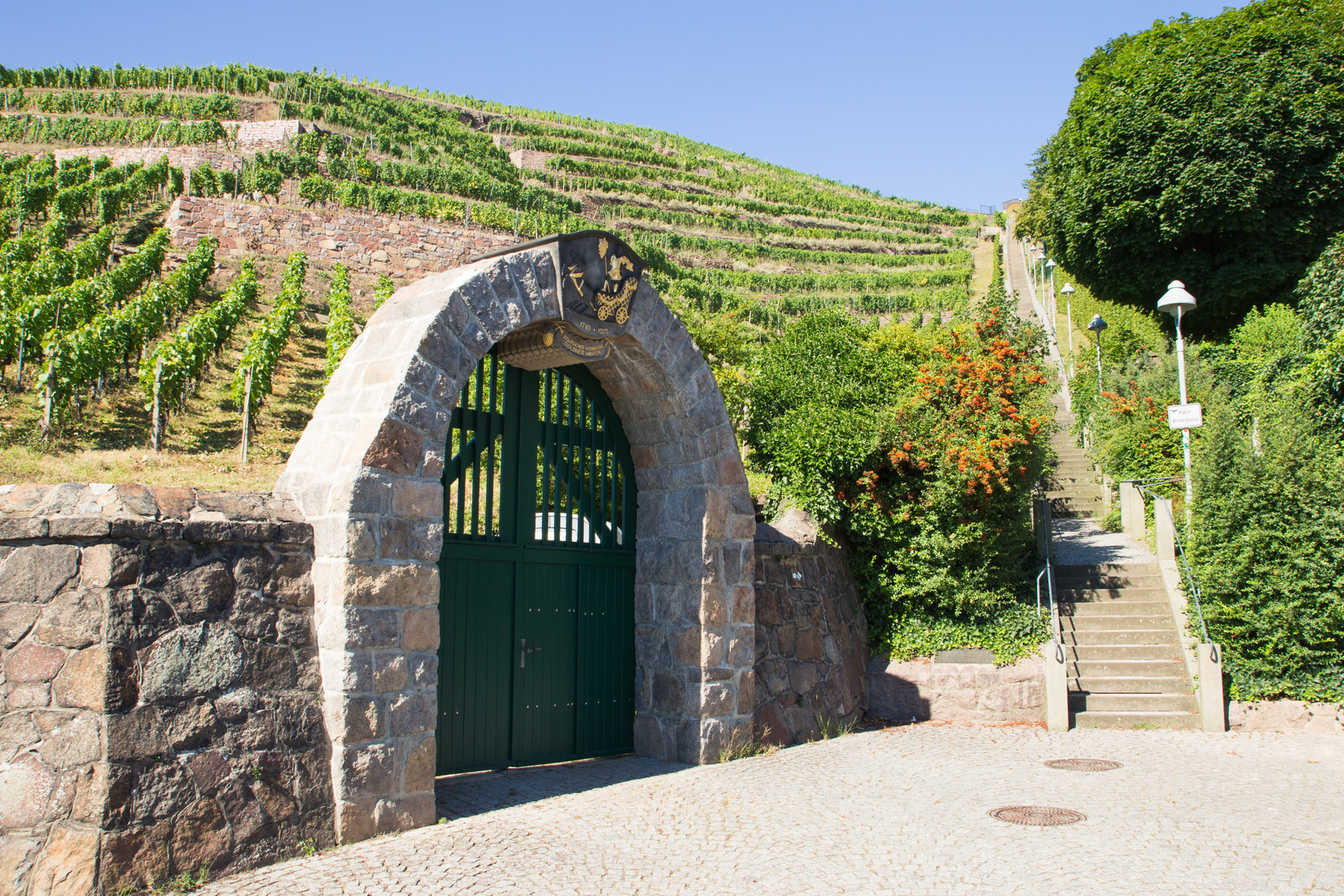 Weinberg in Radebeul bei Dresden mit Treppe zum Spitzhaus