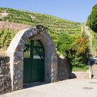 Weinberg in Radebeul bei Dresden mit Treppe zum Spitzhaus