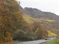 Weinberg "Kalbenstein" bei Gambach