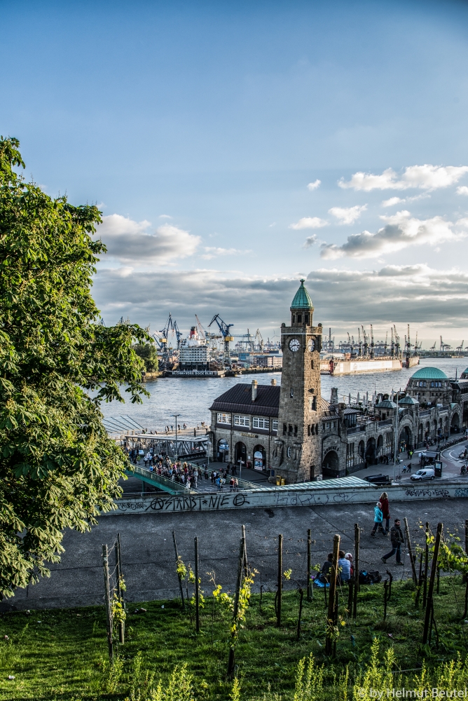 Weinberg, Landungbrücken und der Hafen