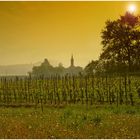 Weinberg mit Kirche