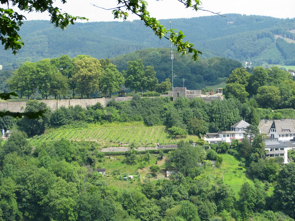 Weinberg mit Ruine (oder anders rum)