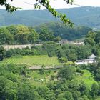 Weinberg mit Ruine (oder anders rum)