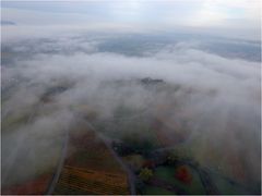 Weinberg-Nebel-Landschaft