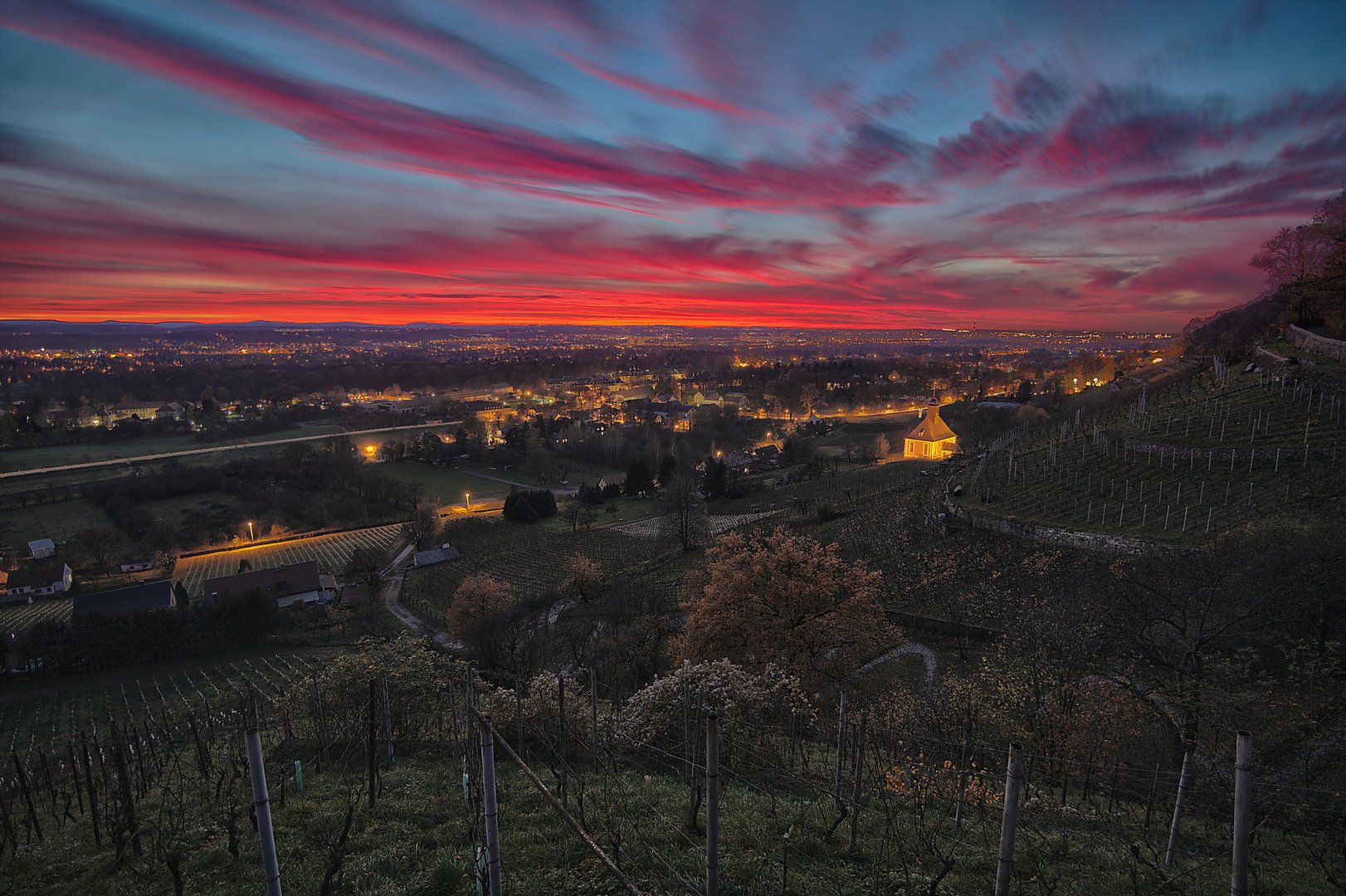 Weinberg Pillnitz-Dresden