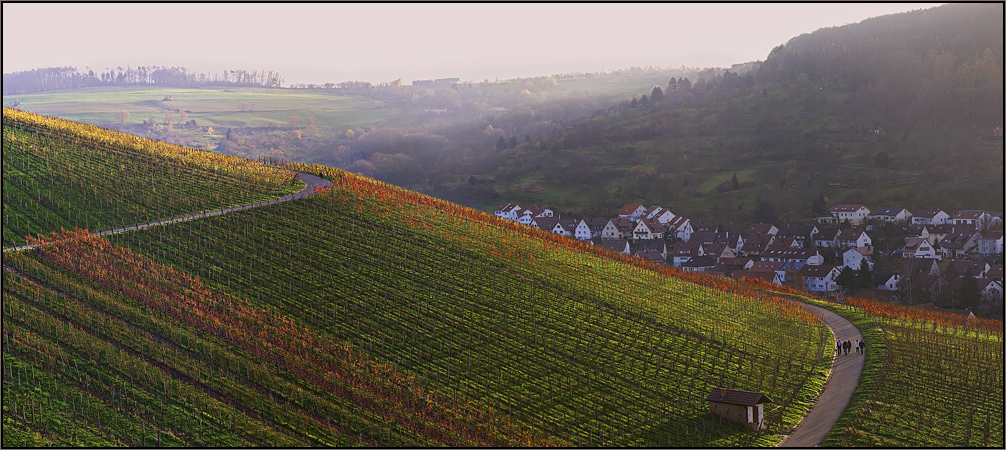 Weinberg-Sonntagspaziergang