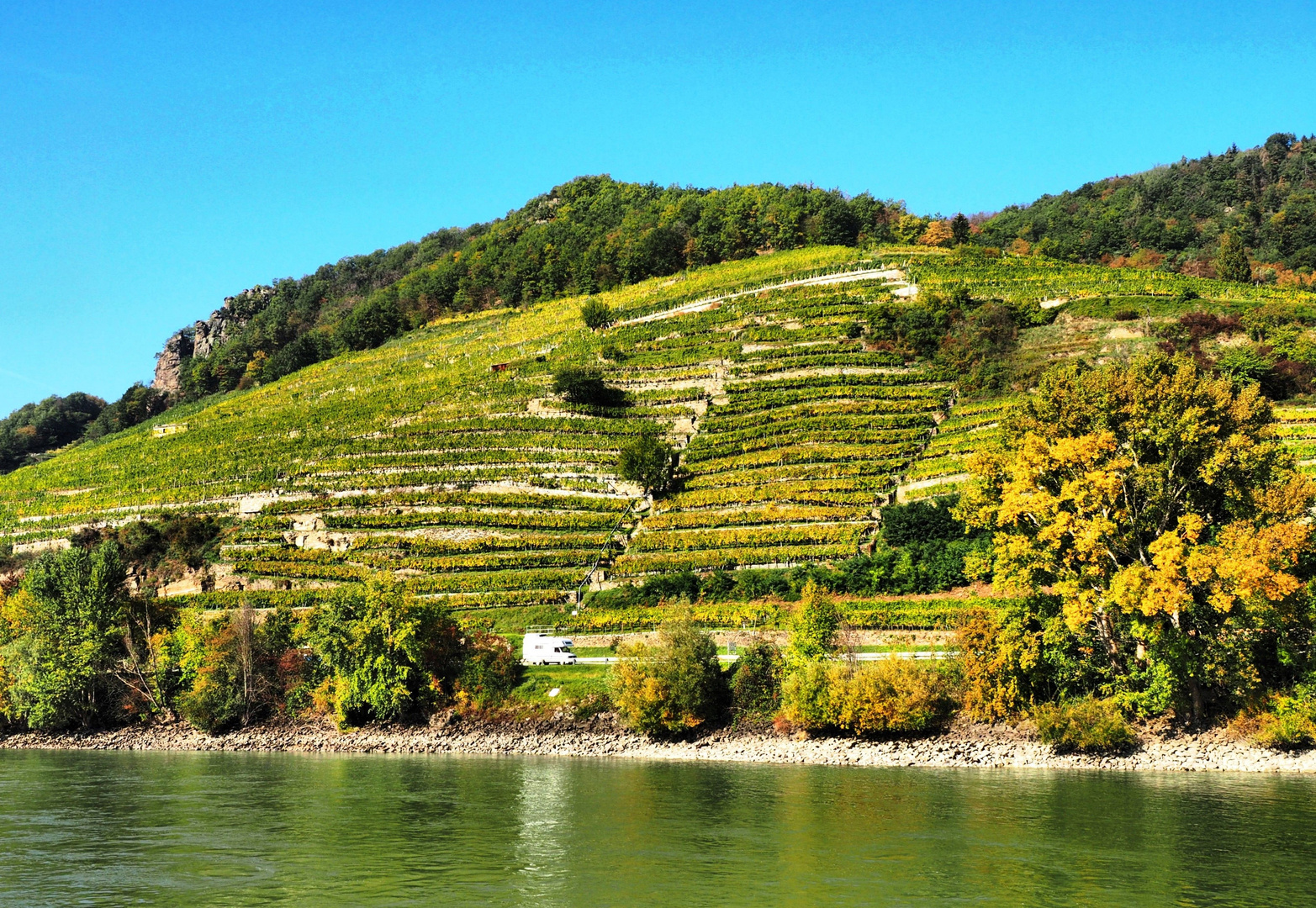 Weinberg-Steillagen in der Wachau