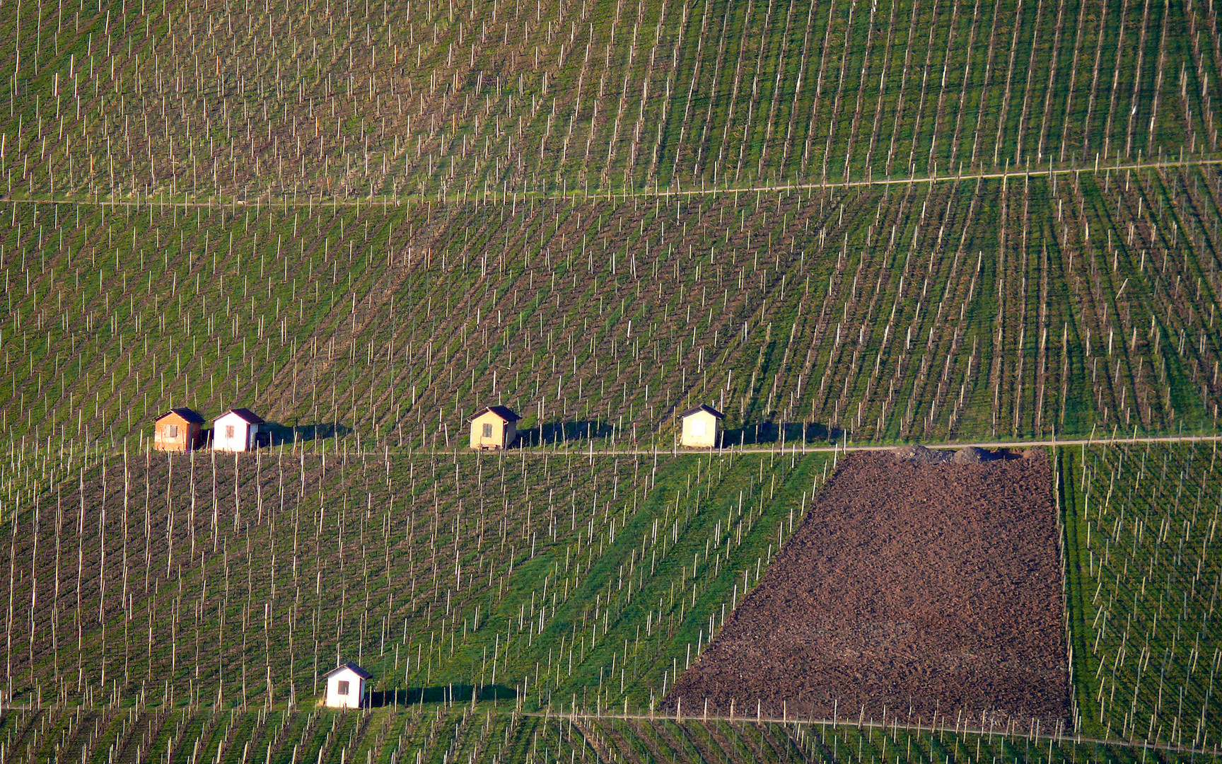 "Weinberg-Strukturen"