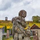 Weinberg und Friedhof im Herbst in Barr / Elsaß