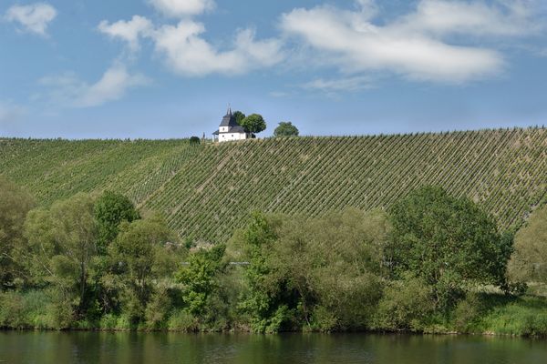 Weinberg und Kapelle....