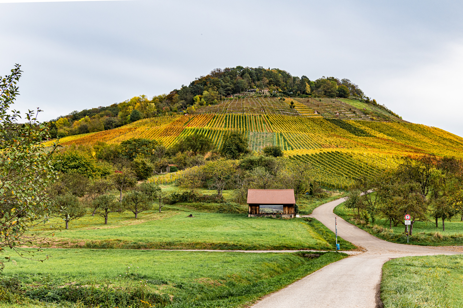 Weinberg von Kleinheppach, Baden-Württemberg