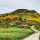 Weinberg von Kleinheppach, Baden-Württemberg