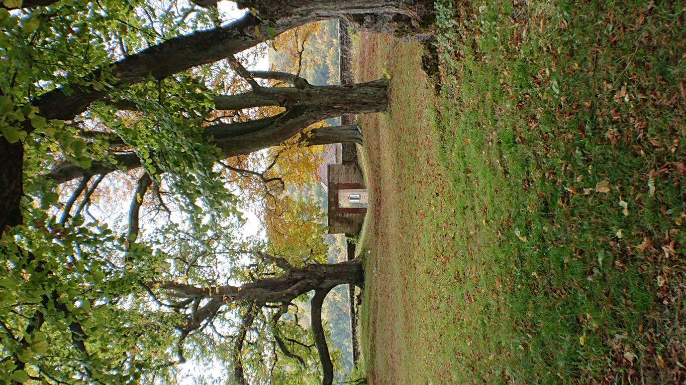 Weinberg Wanderung bei Hammelburg