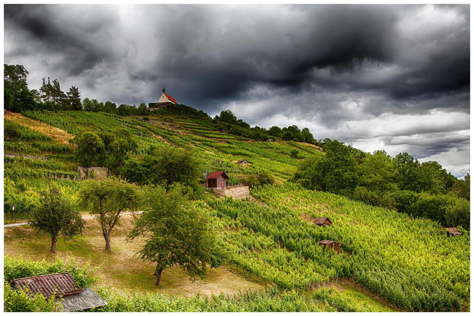 Weinberg, Wurmlinger Kapelle